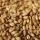 В Саратовскую область не пустили фуры с пшеницей и мукой из Казахстана